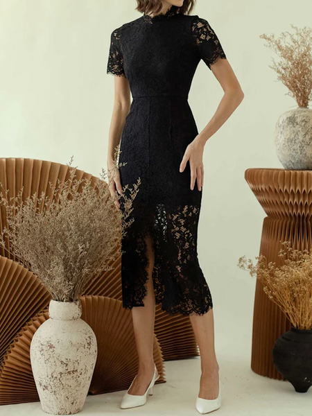 

Elegant Stand Collar Regular Fit Lace Party Dress, Black, Midi Dresses