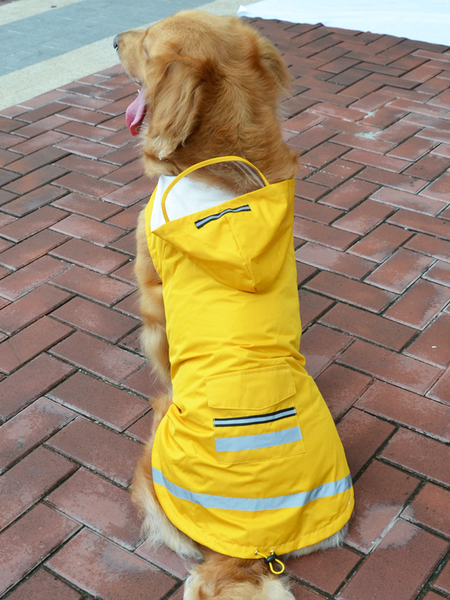

Lilicloth X Funnpaw Dog Raincoat, Yellow, Pet Clothes