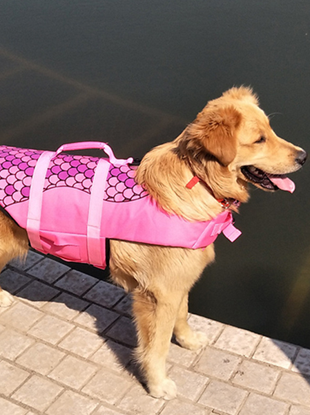 

Lilicloth X Funnpaw Pet Life Jacket, Pink, Pet Clothes