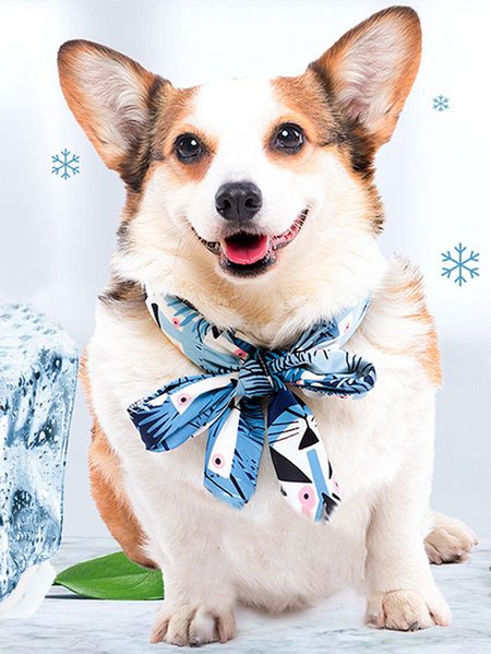 

Lilicloth X Funnpaw Striped Pet Cooling Scarf, Blue, Pet Accessories
