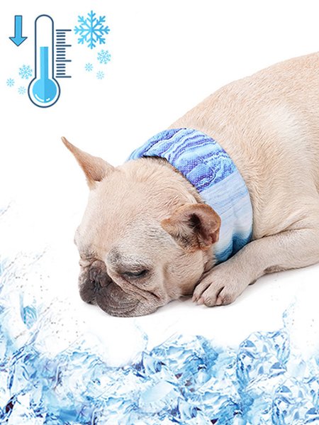 

Lilicloth X Funnpaw Pet Cooling Scarf, Blue, Pet Accessories