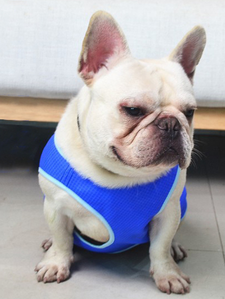

Lilicloth X Funnpaw Summer Thin Large Dog Clothes Pet Cooling Vest, Pet Clothes
