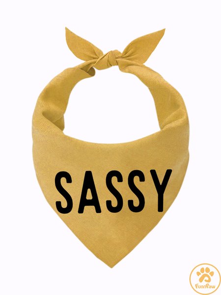 

Lilicloth X Funnpaw Sassy Matching Dog Print Bib, Yellow, Pet Bandanas