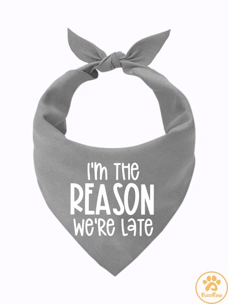

Lilicloth X Funnpaw I'm The Reason We're Late Matching Dog Print Bib, Gray, Pet Bandanas