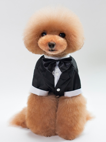 

Lilicloth X Funnpaw Dog Wedding Suit, Xxl, Pet Clothes