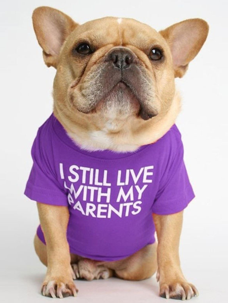 

Lilicloth X Funnpaw I Still Live With My Parents Dog Outfit, Purple, Pet Clothes