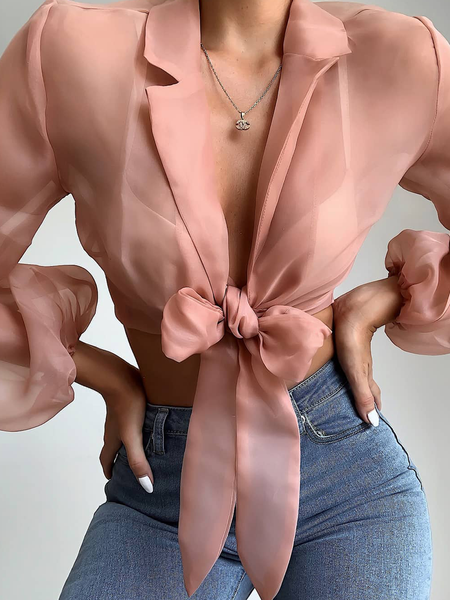 

Elegant Lapel Collar Long sleeve Crop Plain Regular Fit Kimono, Pink, Others