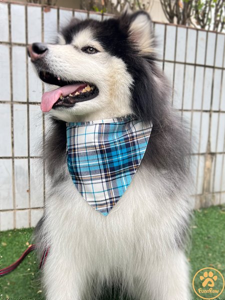 

Lilicloth X Funnpaw Blue White Plaid Print Dog Print Bib, Pet Bandanas