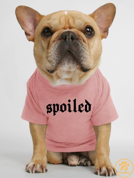 

Lilicloth X Funnpaw Spoiled Human Matching Dog T-Shirt, Pink, Pet T-shirts