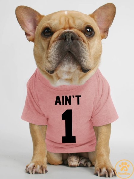 

Lilicloth X Funnpaw Ain't 1 Human Matching Dog T-Shirt, Pink, Pet T-shirts