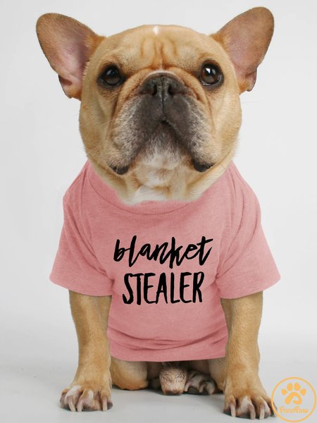 

Lilicloth X Funnpaw Blanket Stealer Human Matching Dog T-Shirt, Pink, Pet T-shirts