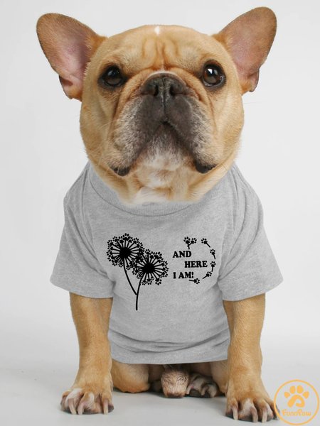 

Lilicloth X Funnpaw And Here I Am Human Matching Dog T-Shirt, Gray, Pet T-shirts