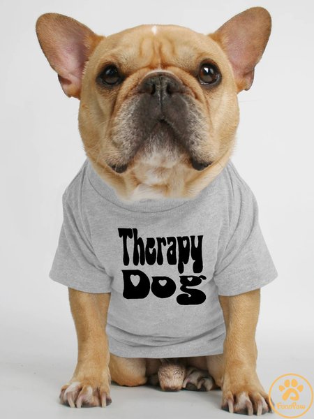 

Lilicloth X Funnpaw Therapy Dog Human Matching Dog T-Shirt, Gray, Pet T-shirts