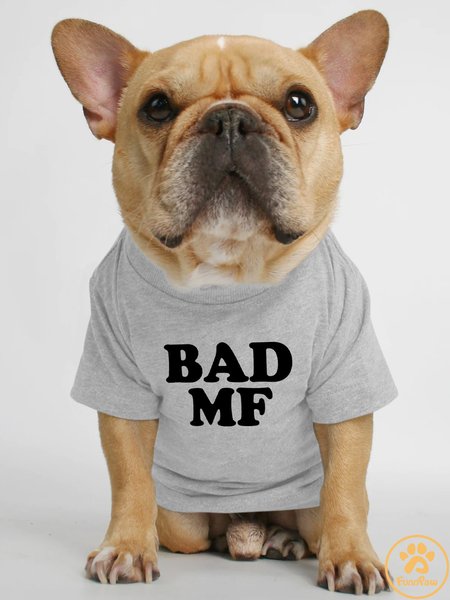 

Lilicloth X Funnpaw Bad Mf Human Matching Dog T-Shirt, Gray, Pet T-shirts