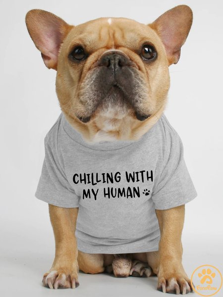 

Lilicloth X Funnpaw Chilling With My Human Human Matching Dog T-Shirt, Gray, Pet T-shirts
