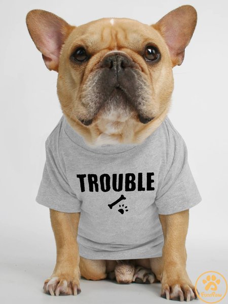 

Lilicloth X Funnpaw Trouble Human Matching Dog T-Shirt, Gray, Pet T-shirts