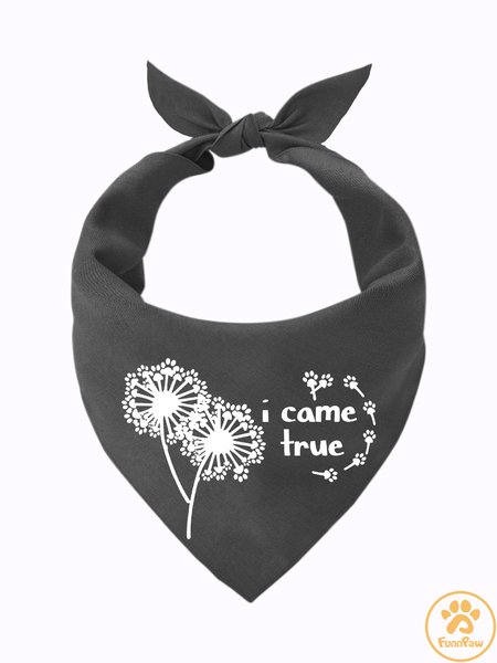 

Lilicloth X Funnpaw I Came True Matching Dog Print Bib, Gray, Pet Bandanas