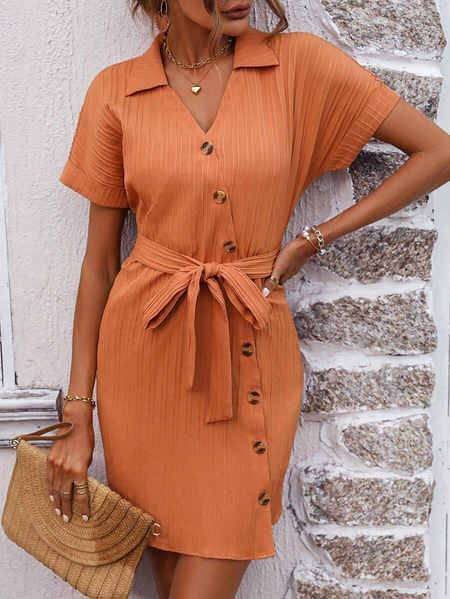 

Regular Fit Lace-Up Plain Casual Dress, Orange, Dresses