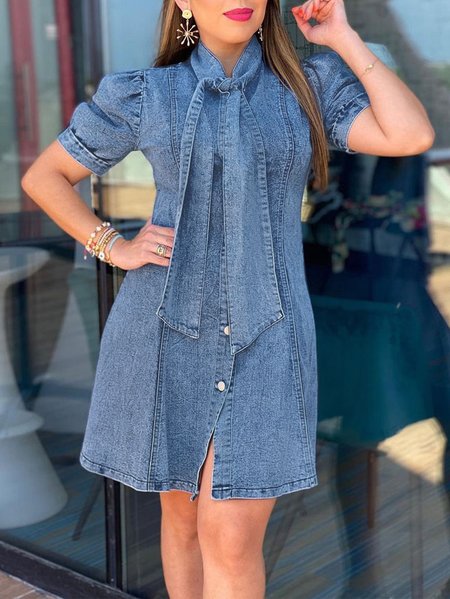 

Elegant Plain Regular Fit Denim Mini Dress With No Belt, Blue, Mini Dresses