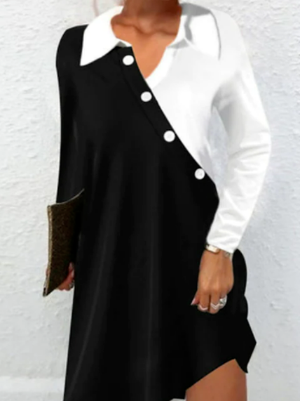 

Casual Regular Fit Color Block Shirt Collar Dress, Black, Dresses