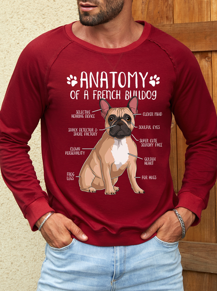 

Men's Anatomy Of A French Bulldog Sweatshirt, Red, Hoodies&Sweatshirts