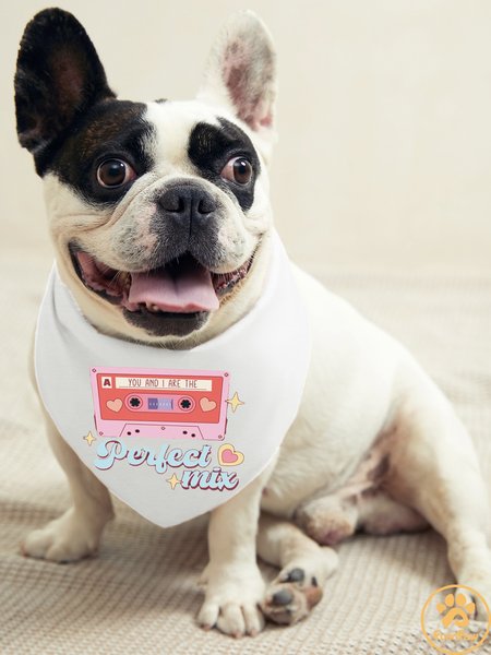 

Magnetic Tape Dog Print Bib, White, Pet Bandanas