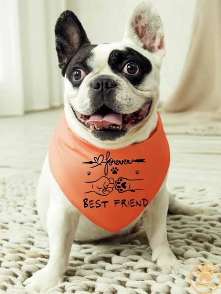 

Best Friend Dog Print Bib, Orange, Pet Bandanas