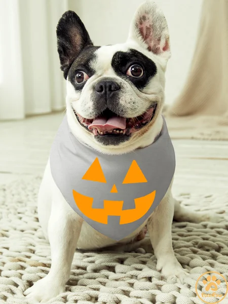 

Halloween Dog Print Bib, Gray, Pet Bandanas