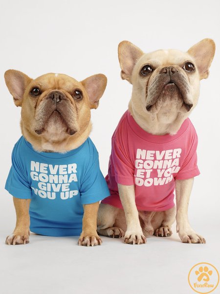 

Never Gonna Let You Down Human Matching Dog T-Shirt, Pink, Pet T-shirts