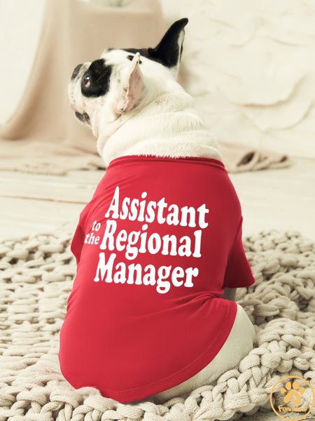

Assistant Regional Manage Dog Outfit Pet Matching T-Shirt, Red, Pet T-shirts
