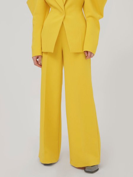 

Elegant Regular Fit Fashion Pants, Yellow, Pants