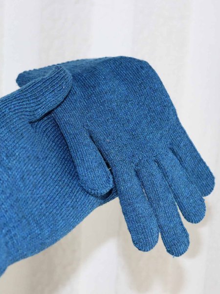 

Solid Color Warm Basic Five Finger Gloves, Blue, Women Gloves