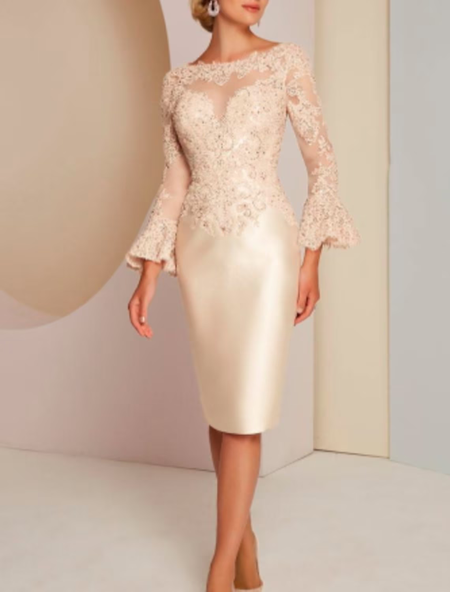 

Satin Elegant Regular Fit Lace Dress With No, Champagne, Party Dresses