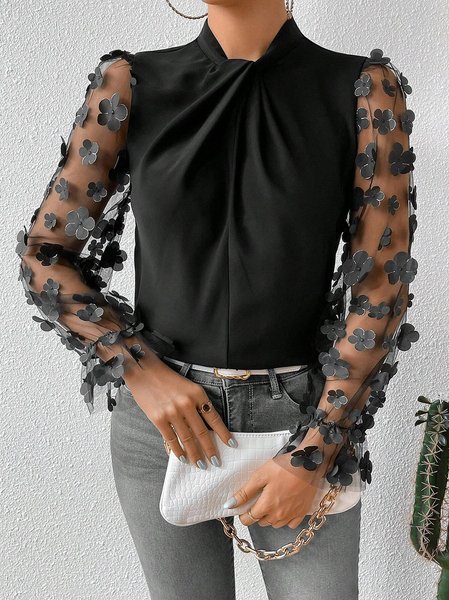 

Long Sleeve Plain Mesh Regular Regular Fit Shirt For Women, Black, Blouses