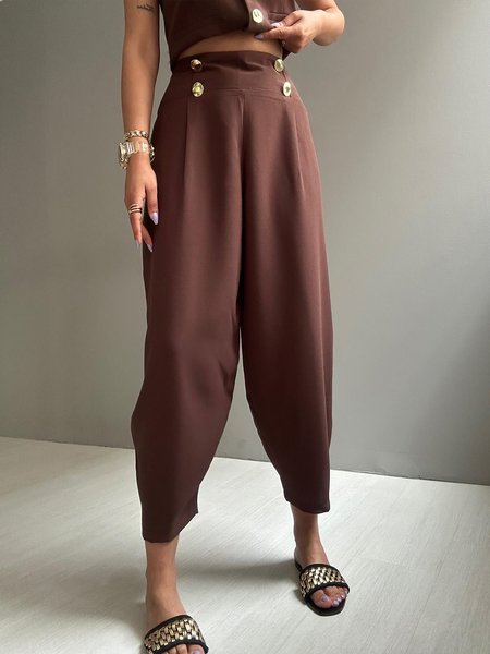 

Buttoned Plain Regular Fit Urban Fashion Pants, Brown, Pants