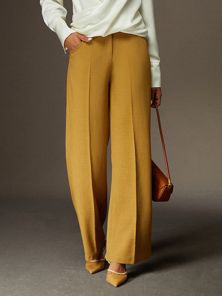 

Regular Fit Urban Plain Fashion Pants Straight pants, Brown, Pants