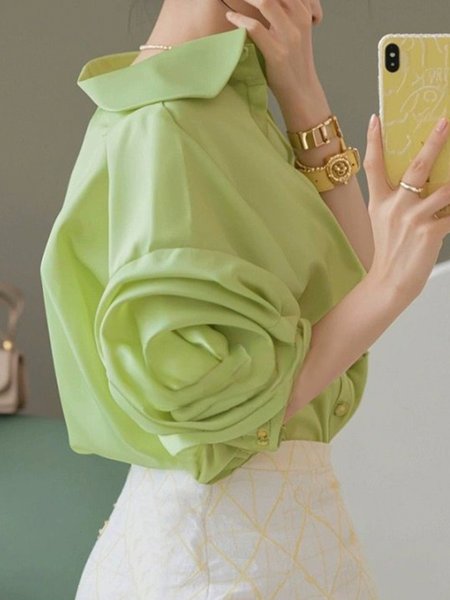 

Elegant Petal Sleeve Plain Regular Fit Shirt, Green, Blouses and Shirts