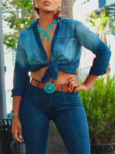 

Shirt Collar Denim Casual Plain Denim Shirt, Blue, Blouses and Shirts