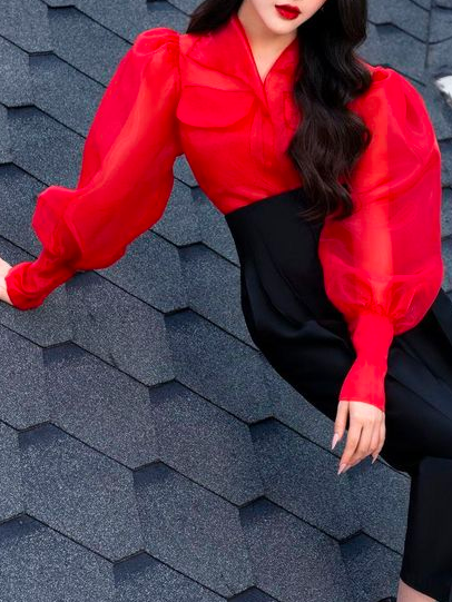 Shawl Collar Balloon Sleeve Elegant Pocket Stitching Shirt, Red, Blouses and Shirts