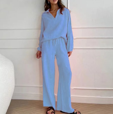 

Women's Plain Daily Going Out Two Piece Set Long Sleeve Casual Spring/Fall Top With Pants Matching Set, Light blue, Suit Set