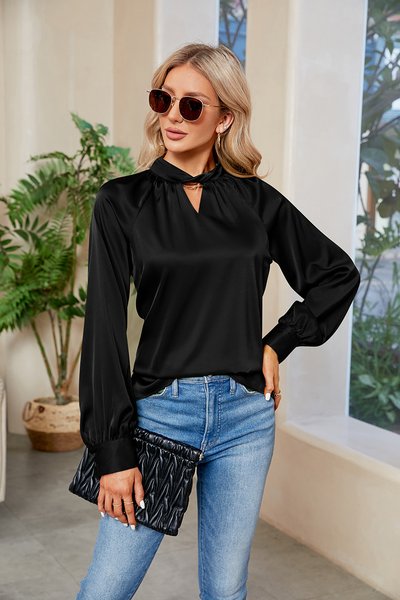 

Crew Neck Long Sleeve Plain Regular Regular Fit Blouse For Women, Black, Blouses
