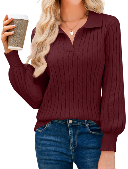 

Plain Balloon Sleeve Casual Regular Fit Sweater, Wine red, Sweaters