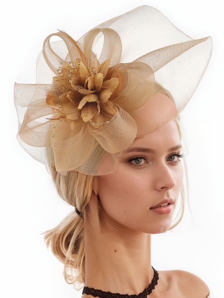 

Women's Feather Mesh Pearl Fashion Hat, Golden, Women Hair Accessories