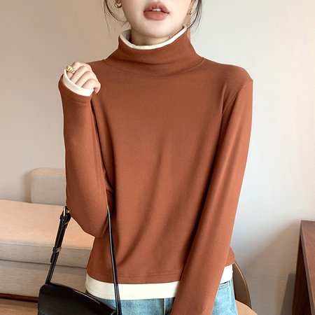

Women Color Block Turtleneck Casual Long Sleeve T-shirt, Caramel, Long Sleeves