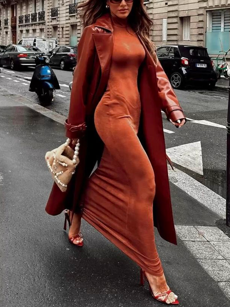 

Elegant Plain Regular Sleeve Dress, Brown, Maxi Dresses