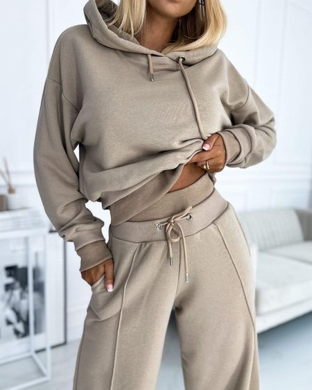 

Women Plain Hoodie Long Sleeve Comfy Casual Top With Pants Two-Piece Set, Khaki, Sets