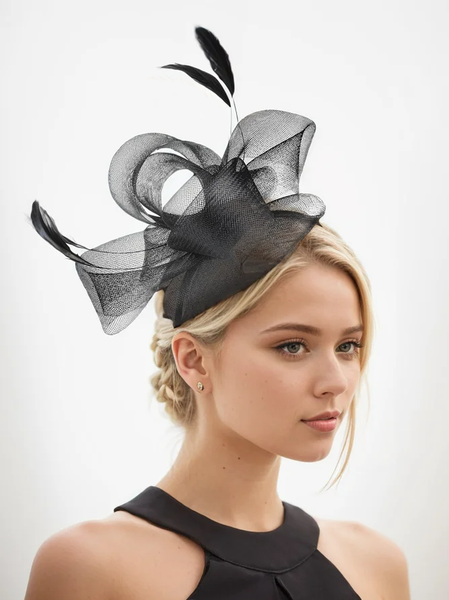 

Women's Elegant Feather Mesh Headdress Hat, Black, Women Hair Accessories
