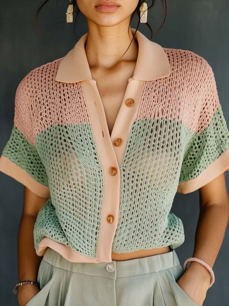 

Casual Color Block Eyelet Shirt Collar Raglan Sleeves Sweater, As picture, Pullovers