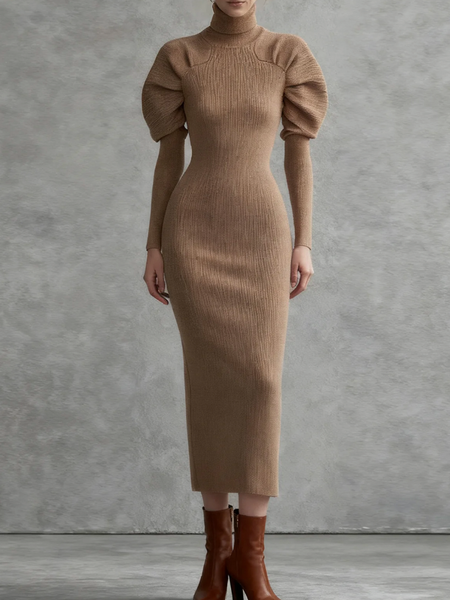 

Elegant Plain Turtleneck Maxi Sweater Dress, Brown, Maxi Dresses
