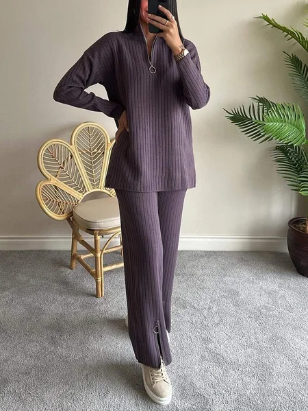 

Women's Embossed Plain Daily Going Out Two-Piece Set Apricot Casual Spring/Fall Top With Pants Matching Set, Purple, Suits